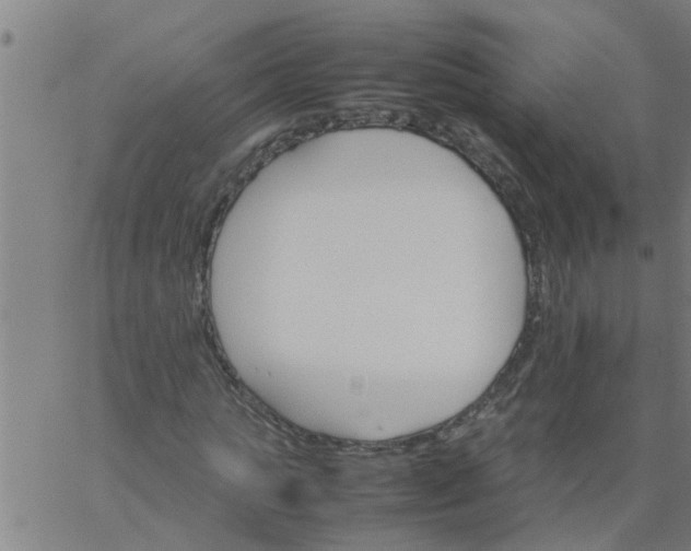 X0000066540821200603311843