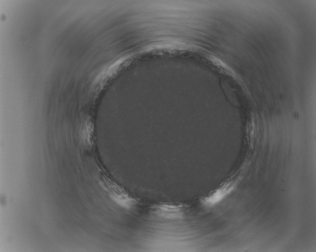 X0000066540822200603311843