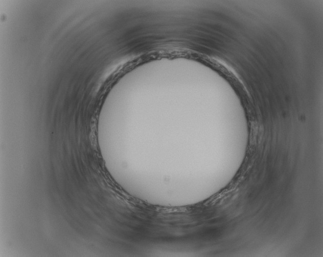 X0000066540823200603311843