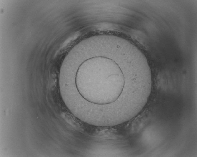 X0000066540824200603311843