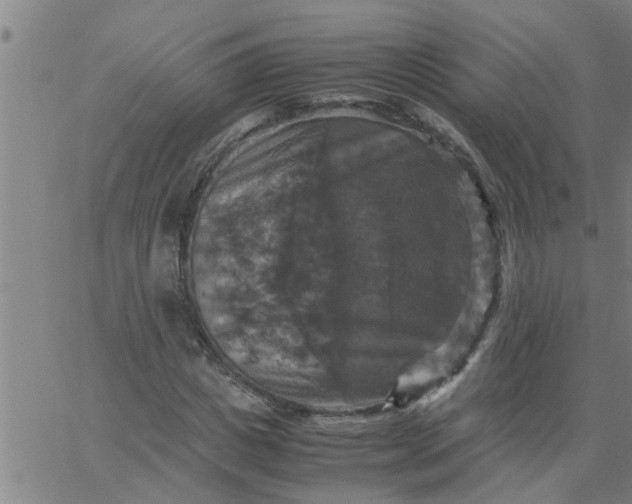 X0000066540825200603311843