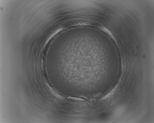 X0000066540827200603311843