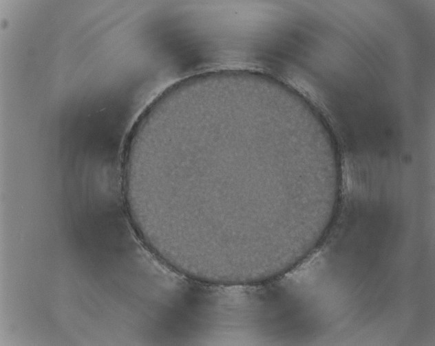 X0000066540828200603311843