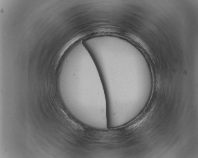 X0000066540829200603311843