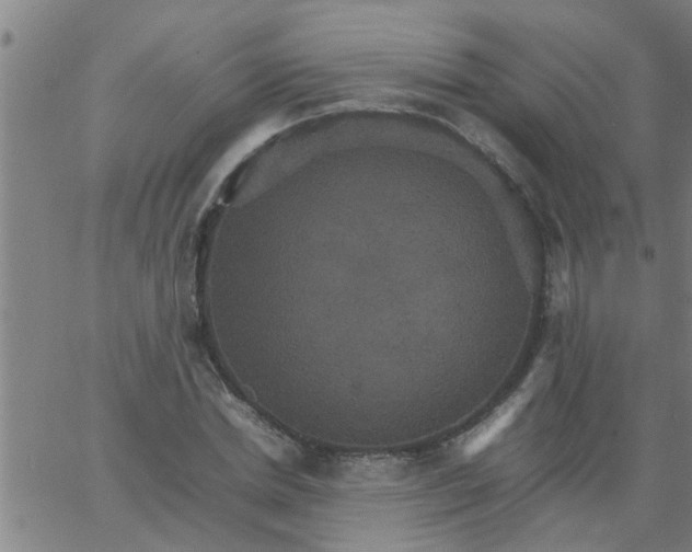 X0000066540830200603311843