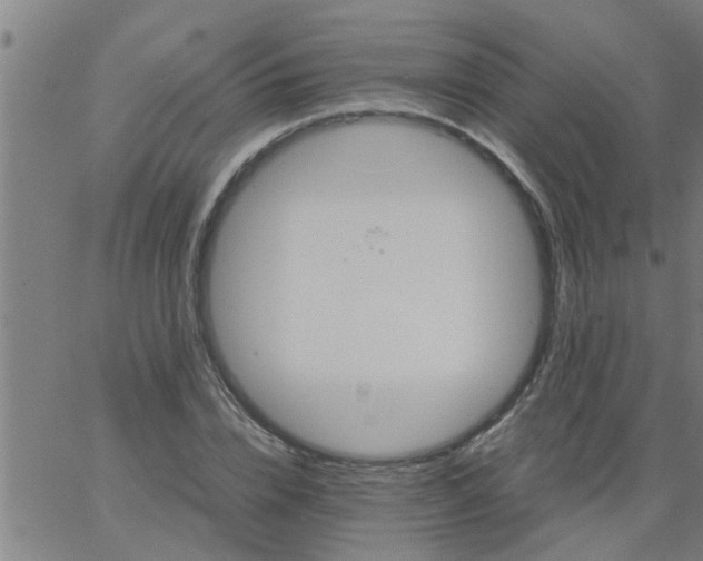 X0000066540832200603311843