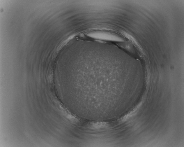 X0000066540833200603311843