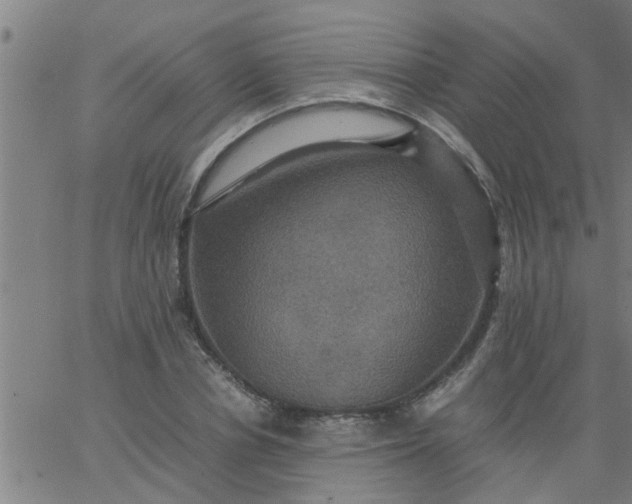 X0000066540834200603311843