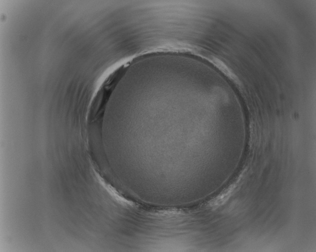 X0000066540838200603311843