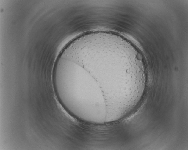 X0000066540839200603311843