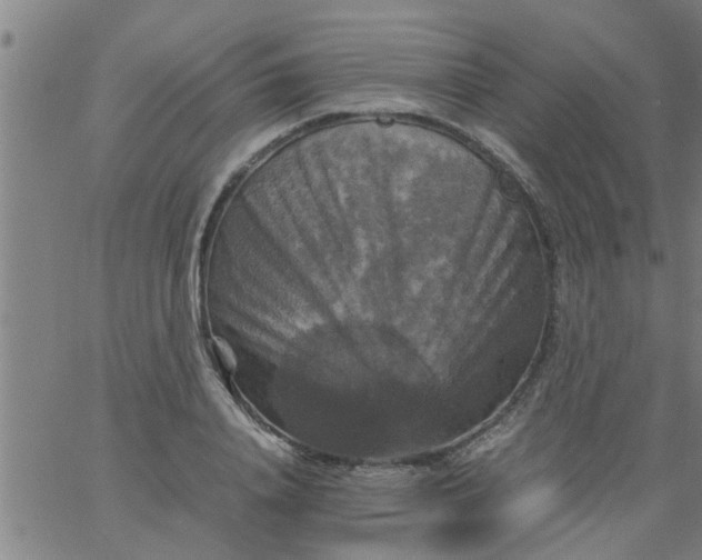 X0000066540840200603311843