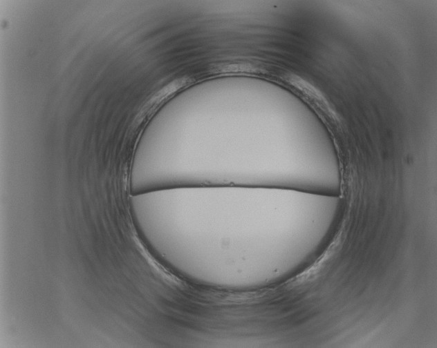 X0000066540841200603311843