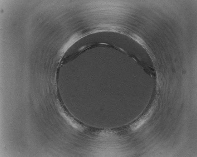 X0000066540842200603311843