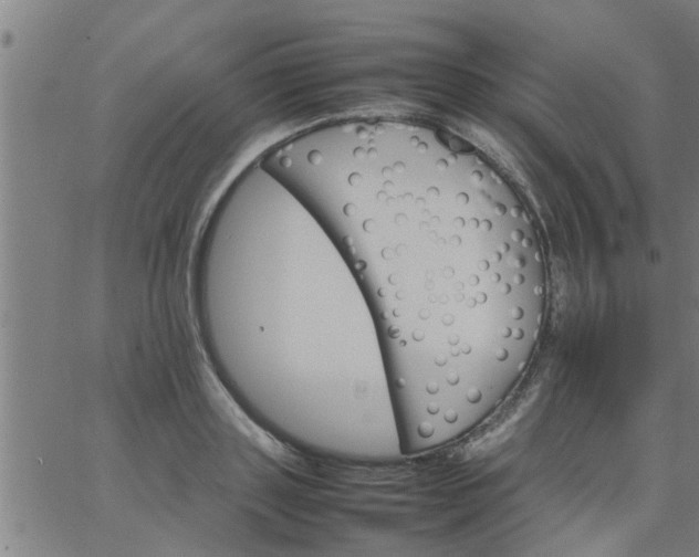 X0000066540843200603311843