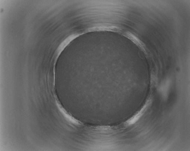 X0000066540844200603311843