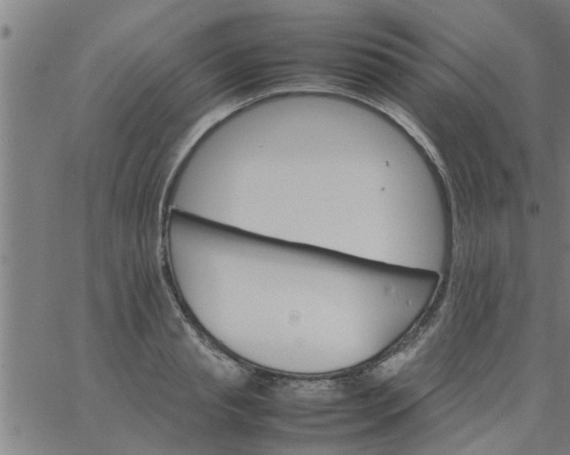 X0000066540845200603311843