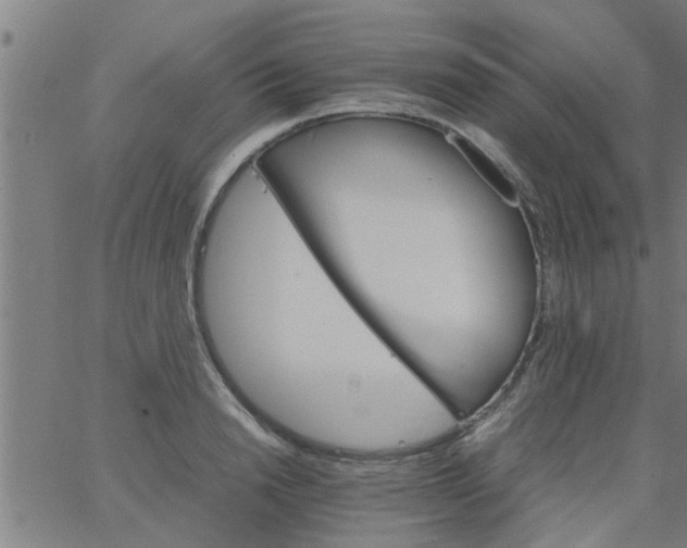 X0000066540846200603311843