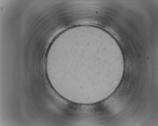 X0000066540848200603311843