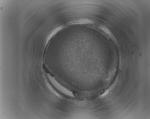 X0000066540850200603311843