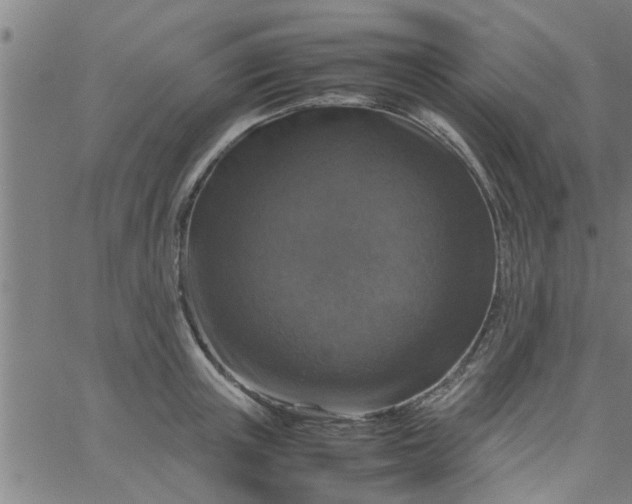 X0000066540851200603311843