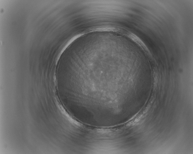 X0000066540852200603311843