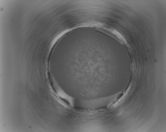 X0000066540854200603311843