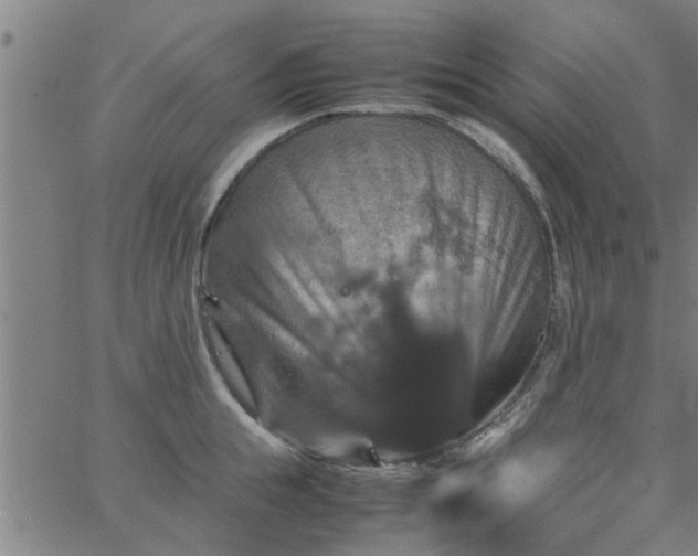 X0000066540855200603311843