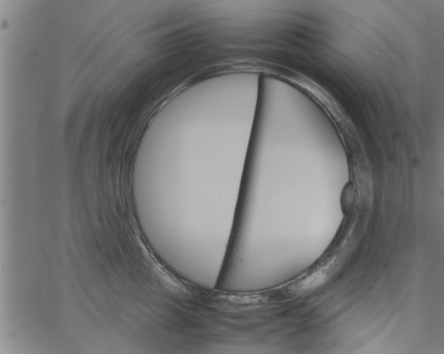 X0000066540857200603311843