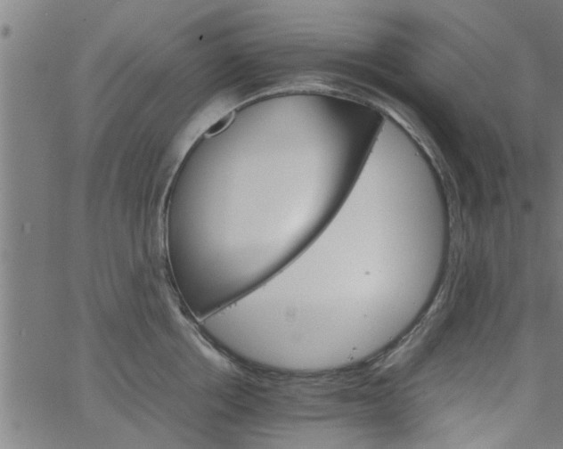 X0000066540858200603311843