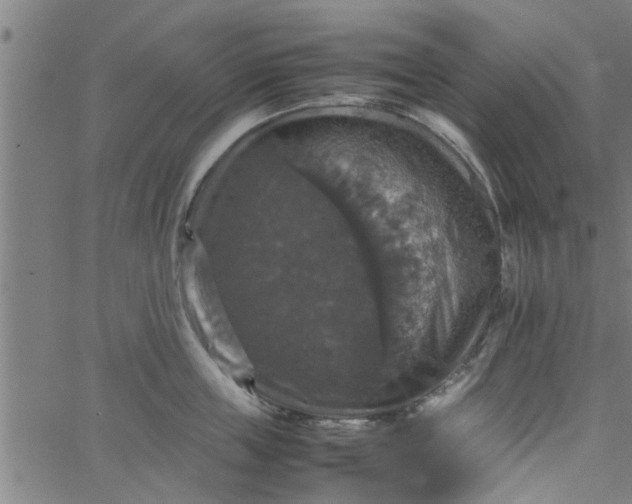 X0000066540859200603311843