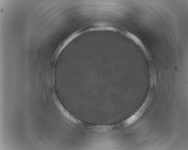 X0000066540860200603311843