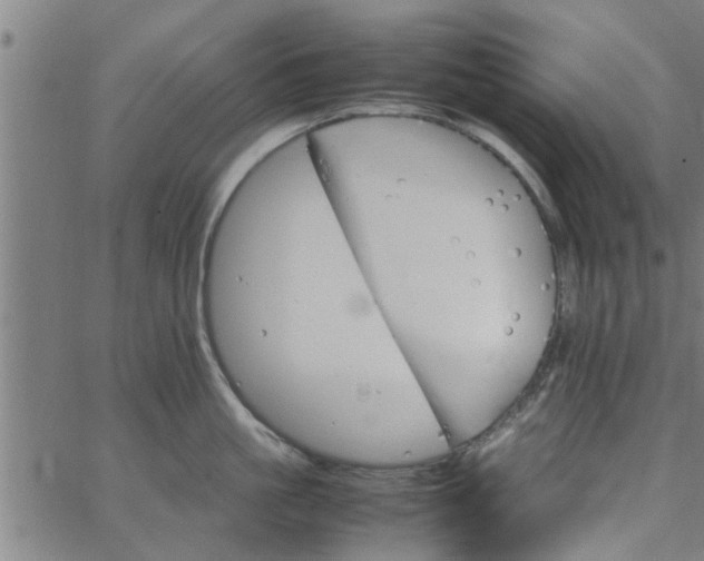 X0000066540861200603311843