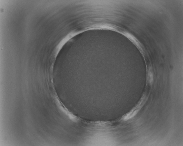 X0000066540862200603311843