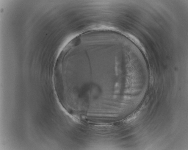 X0000066540863200603311843