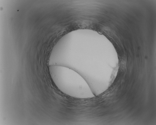 X0000066540865200603311842