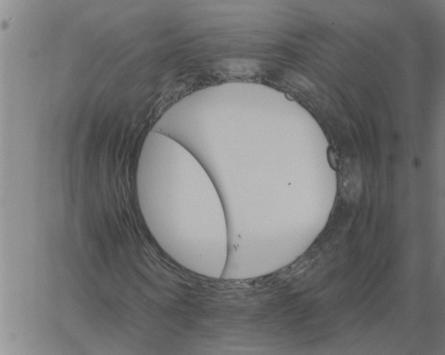 X0000066540866200603311842