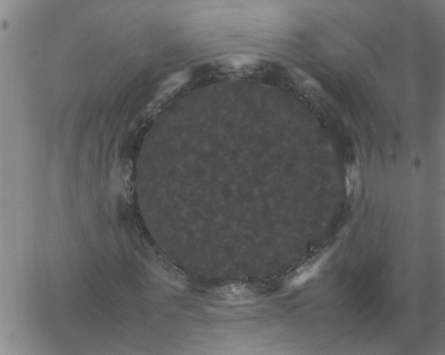 X0000066540867200603311842