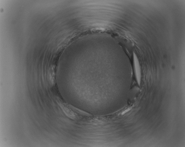 X0000066540868200603311842