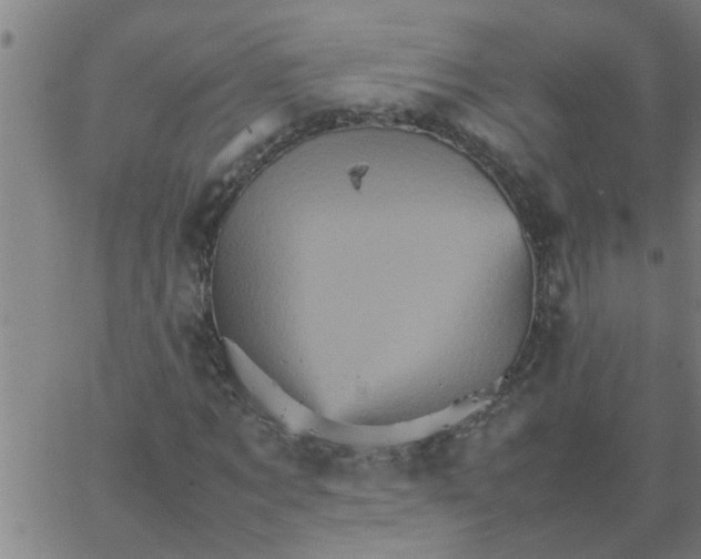 X0000066540869200603311842