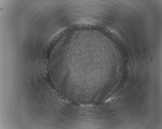 X0000066540870200603311842