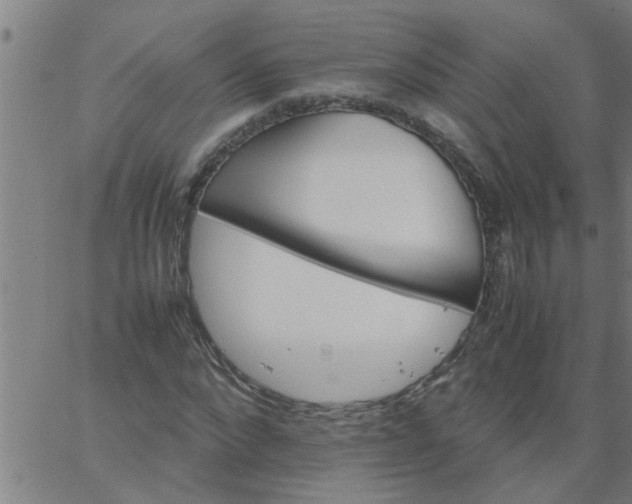 X0000066540872200603311842