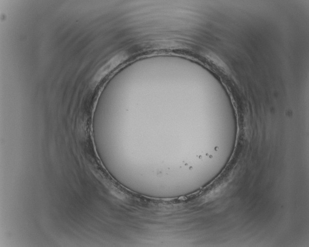 X0000066540873200603311842