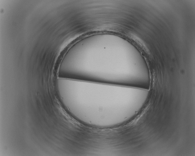 X0000066540876200603311842