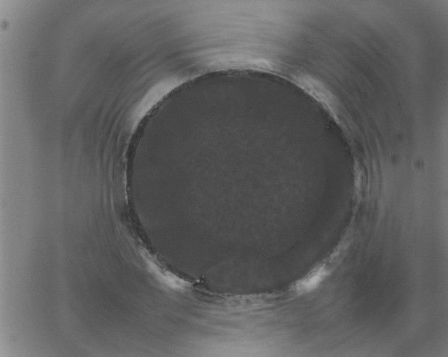 X0000066540877200603311842