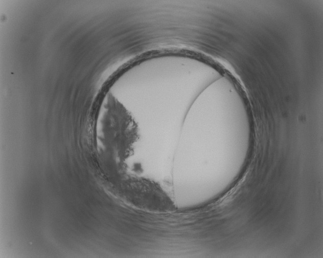 X0000066540879200603311842