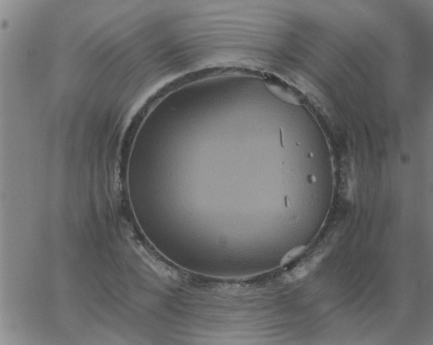 X0000066540880200603311842