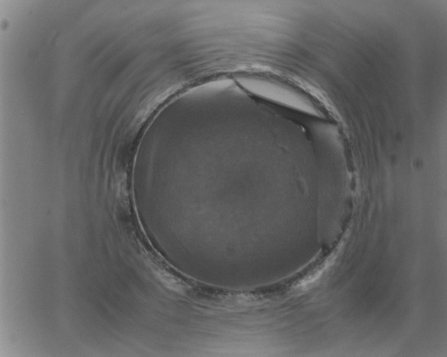 X0000066540881200603311842