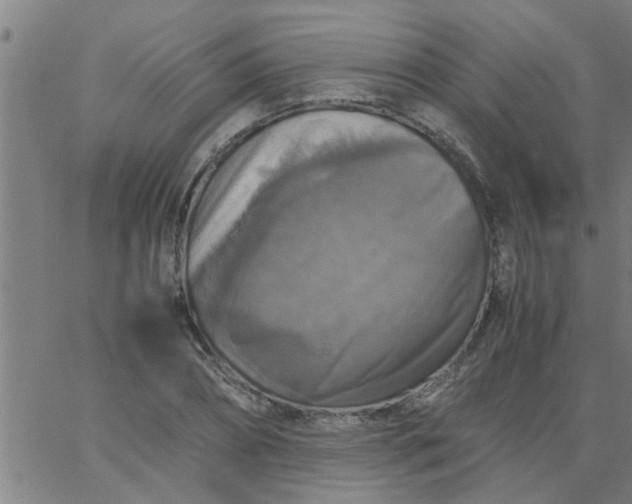 X0000066540882200603311842