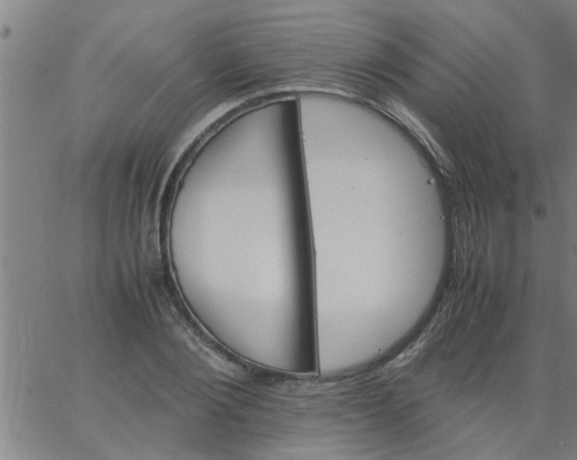 X0000066540884200603311842