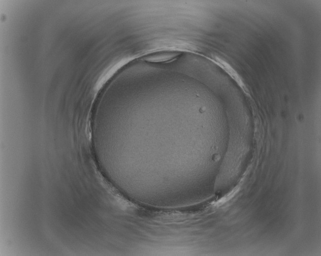 X0000066540885200603311842